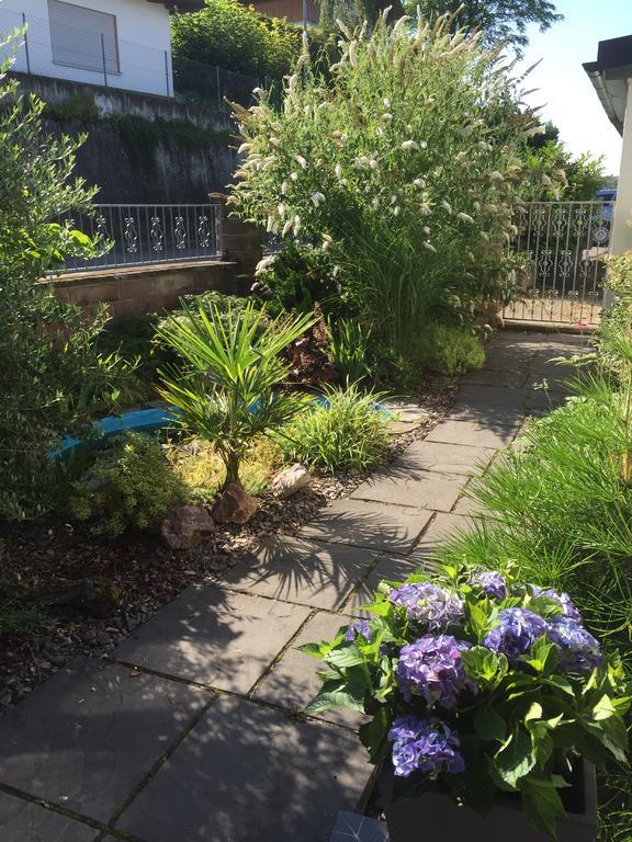 Appartement Vogesenblick
